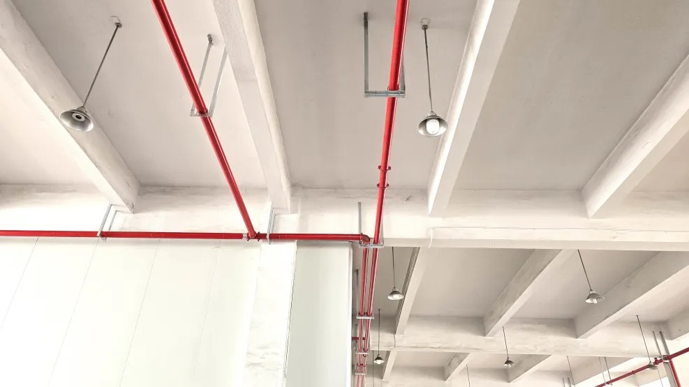 Bwin必赢新质料1